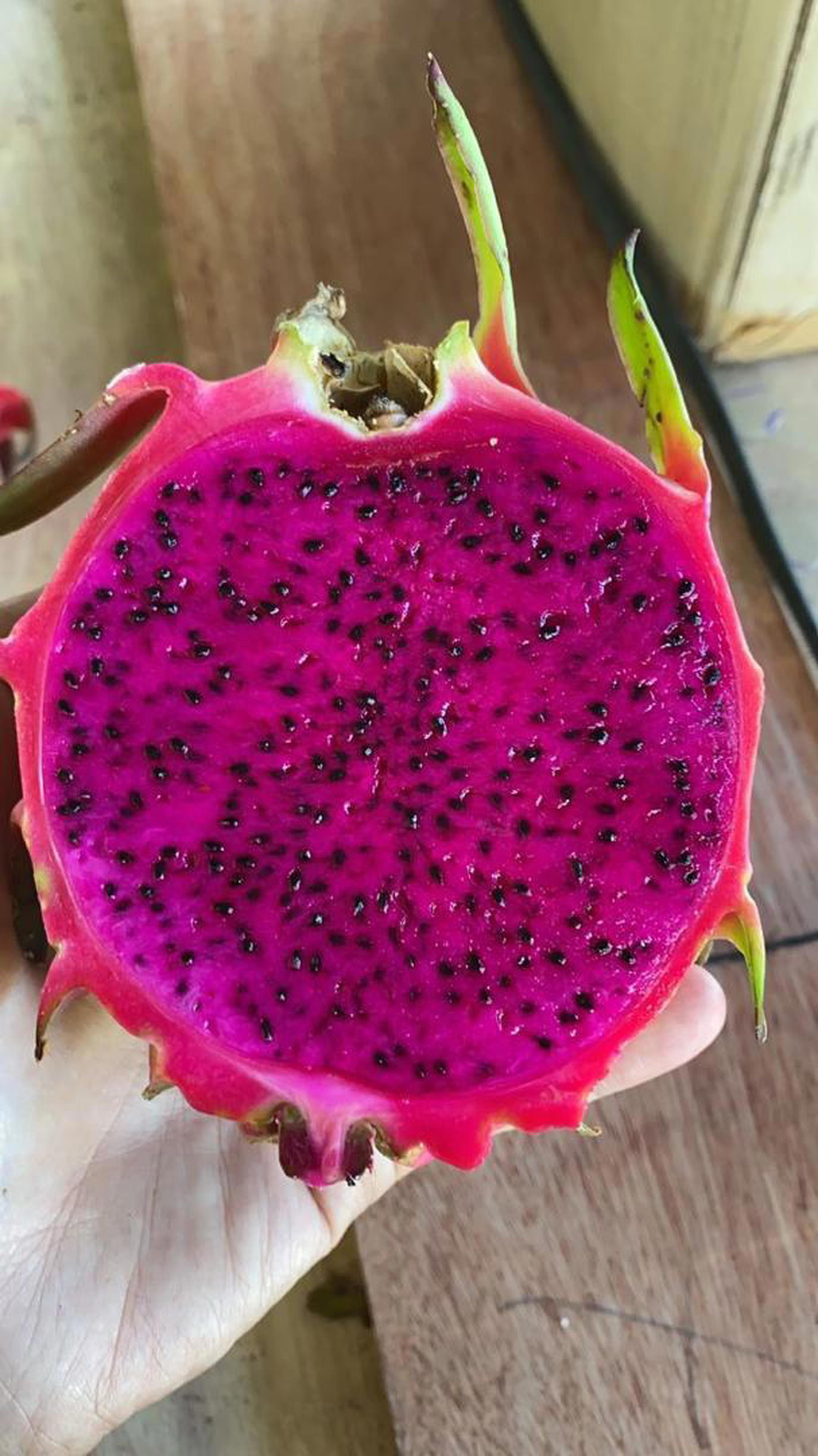 Fruit - Dragon Fruits (Mui Acres)