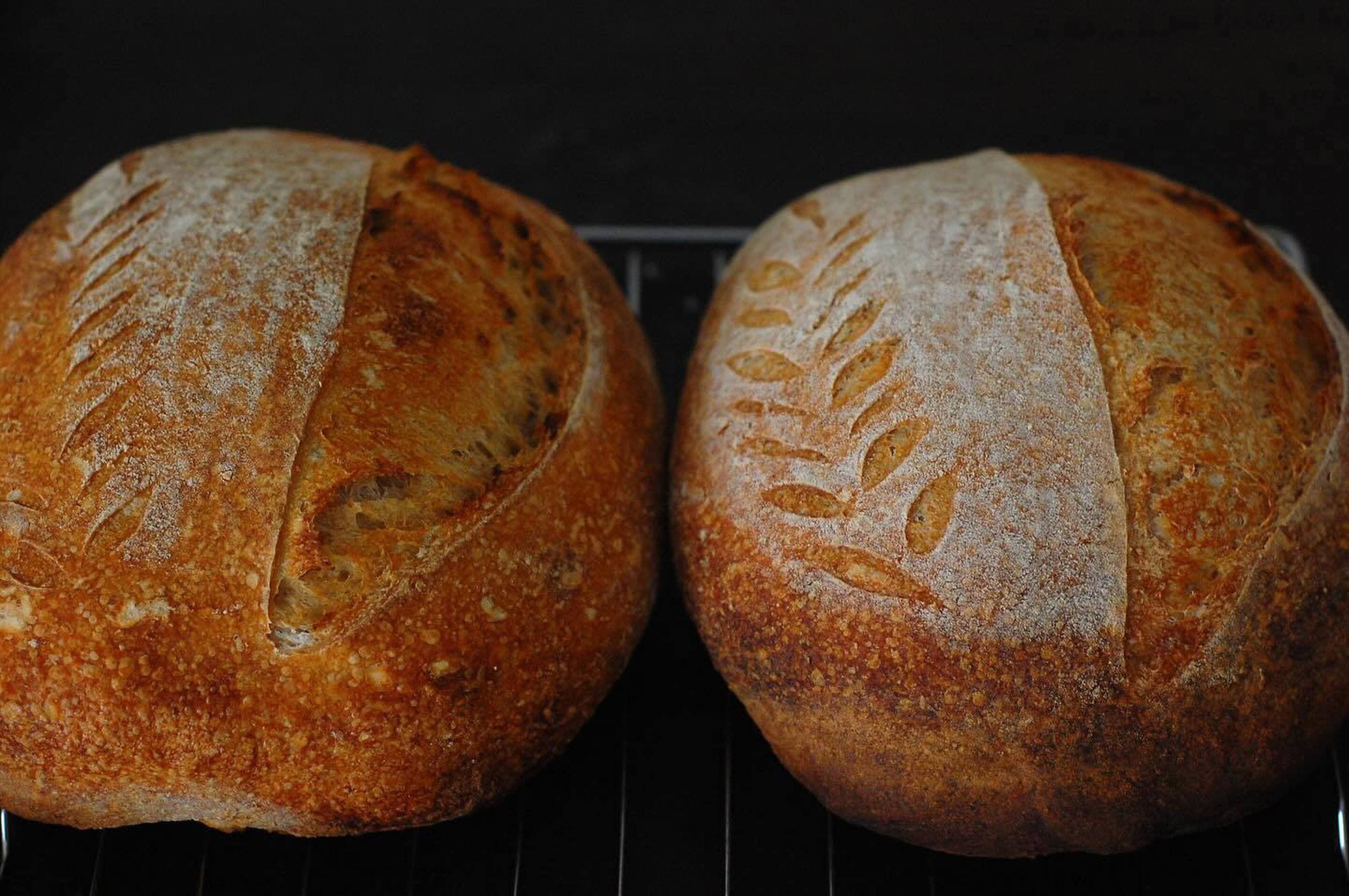 PANTREE COUNTRY LOAF