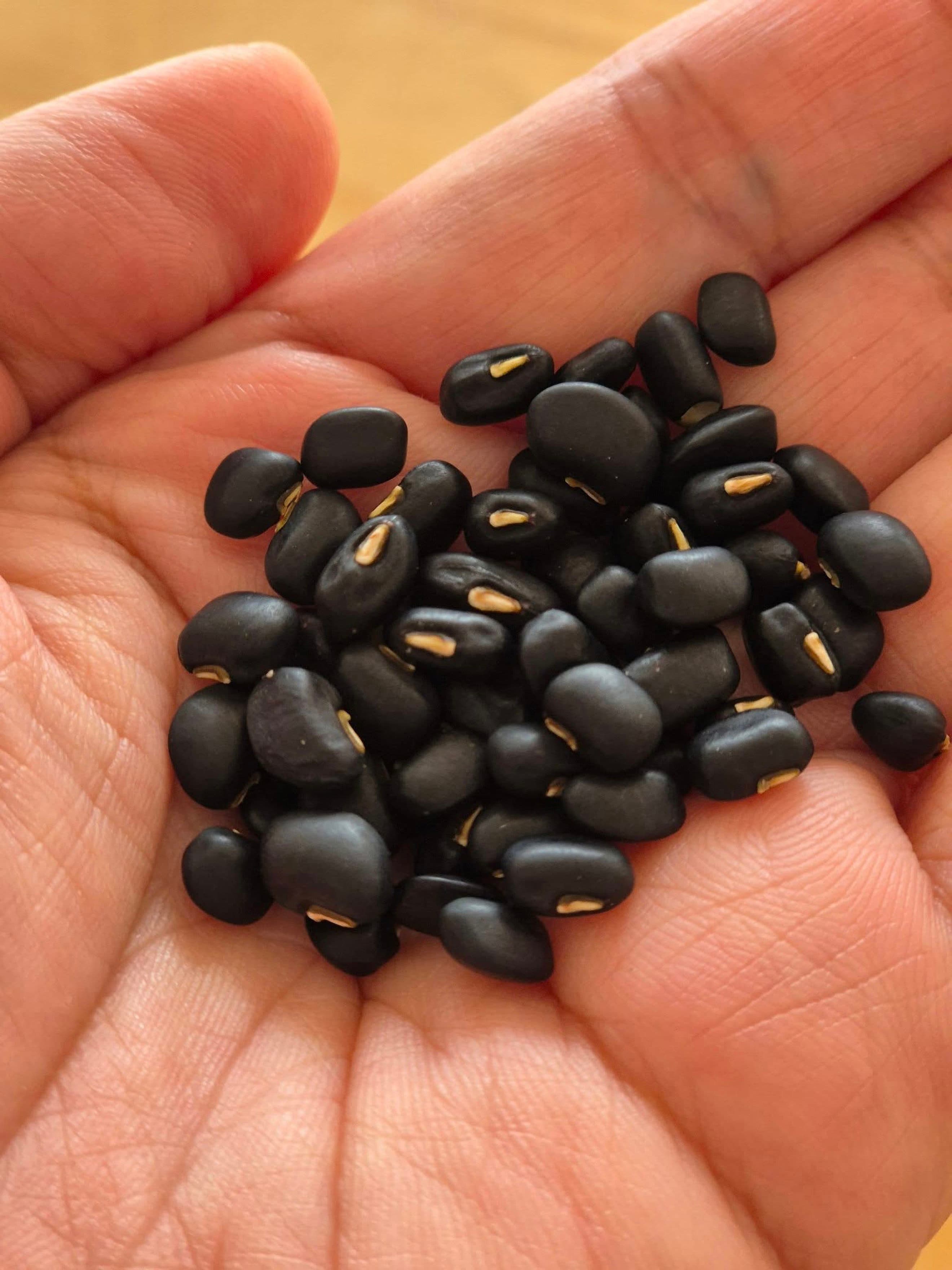 TITI ECO FARM BLACK ADZUKI BEAN (120G)