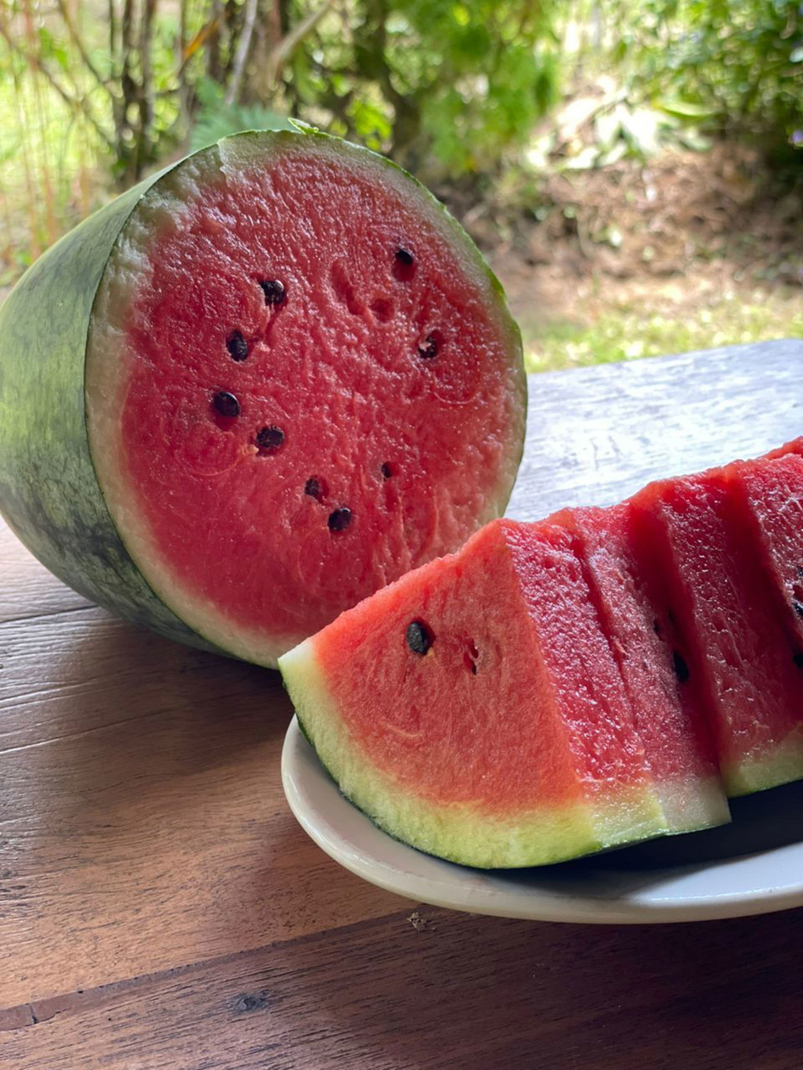 Hous Farm Kemaman Watermelon